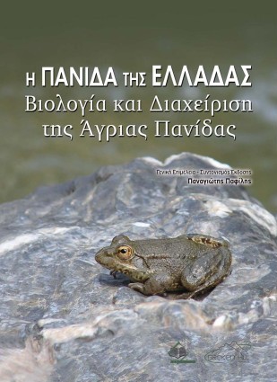 Επιλέχθηκε εικόνα