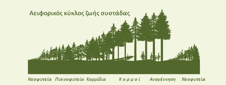 Επιλέχθηκε εικόνα